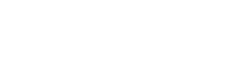 The Design Management Institute