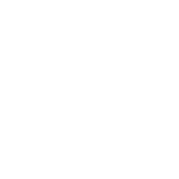 Merriam-Webster